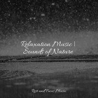 Life of a Buddhist - Classical New Age Piano Music & Meditation Relaxation Club & Spa Music Collective