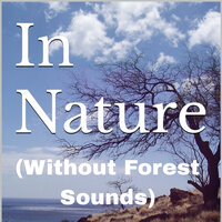 In Nature (Without Forest Sounds) - Quest