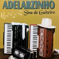 Sina de Gaiteiro - Adelarzinho