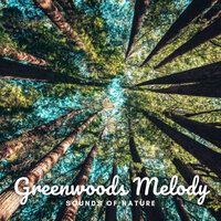Maritime Song - Outdoor Field Recorders & Nature Field Recordings & Native American Nature