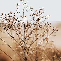 Aural Waves - Yoga Trainer & Rain Sounds Factory STHLM & Massage Therapy Music