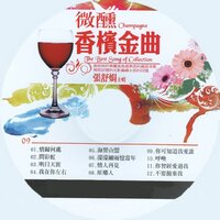不要拋棄我 - 張舒娟