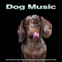 Background Pet Music - Dog Music & Sleeping Music For Dogs & Dog Music Experience