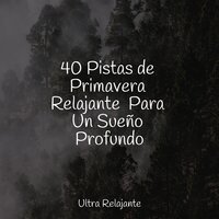 La Repetición Más Suave - Sueños Triplete & Academia de Música para Massagem Relaxamento & Sonidos De Lluvia y Tormentas