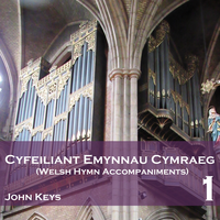Iesu Roes Addewid Hyfryd (Bryntirion) - John Keys