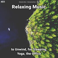 Relaxing Music, Pt. 74 - Relaxation Music & Relaxing Spa Music & Yoga