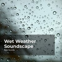 Sweet-Sounding Rain - Rain Sounds & Rain Storm Sample Library & Natural Rain Sounds for Sleeping