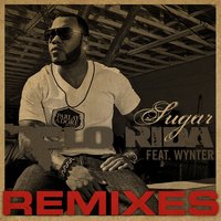 Sugar - Flo Rida & Wynter Gordon & Micky Modelle