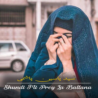 Chi Ta Larey - Syed Yaseen Hashmi