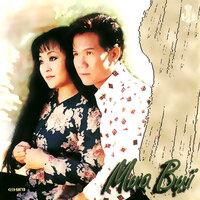 Lá Diêu Bông - Thái Châu