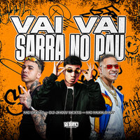 Vai Vai Sarra no Pau - MC Lindão & MC Murilo MT & DJ JHOW BEATS & Resumo Produtora