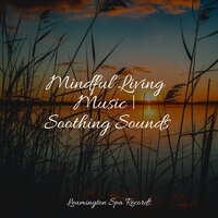 Relaxation - Thunder and Rain Storm & Nature's Symphony & Sound of Rain