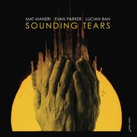 Blessed - Mat Maneri