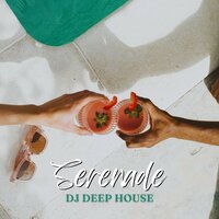 Deep House Beats - DJ Deep House