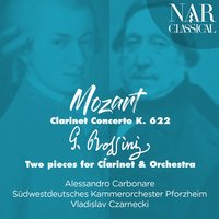 Variations for Clarinet and Small Orchestra in C Major: No. 6, Variation IV - Südwestdeutsches Kammerorchester Pforzheim & Vladislav Czarnecki & Alessandro Carbonare & Джоаккино Россини