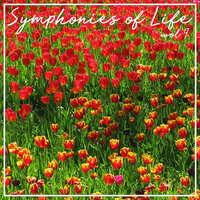 Concerto In A Major, RV.585 (In Due Cori) - Coro I: Two Recorders, Two Violins, Cello / Coro II: Two Recorders, Two Violins, Cello, Organ, Strings And Basso Continuo: I. Allegro - Concerto Köln & Антонио Вивальди
