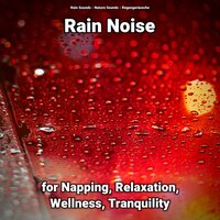 Rain Noise for Relaxation and Wellness Pt. 53 - Nature Sounds & Rain Sounds & Regengeräusche