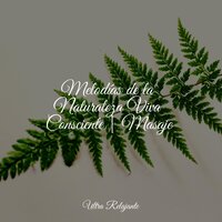 En Paz con la Mente - Sons da natureza HD & Canciones de Cuna Relax & Massagem Guru