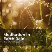 Rain Skyfall in Nature - Rain Recorders & Rainfall & Nature Rain Relaxation