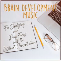 Working Background Music - Concentration Zone & Relaxing Vibes