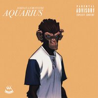 NIGHT CALLS - Jordan Lemonstre