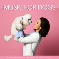 Relaxing Music - Dog Music & Sleeping Music For Dogs & Dog Music Library