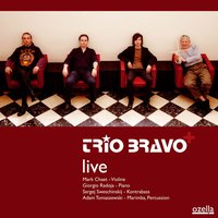 Weißes Akkordeon - Trio Bravo+