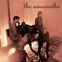 Silver Dreams - The Amaranths