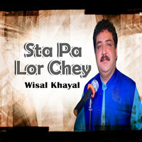 Za Pukhton Zalmey Yam - Wisal Khayal