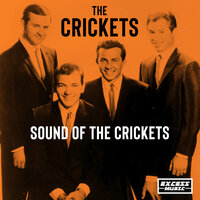 I Fought The Law - The Crickets