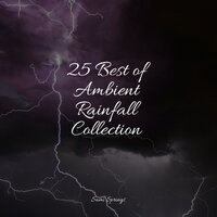 Floods of Rain - Masters of Binaurality & White Noise Baby Sleep & meditacou musica ambiente