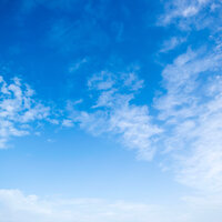 Ballet of Sound - Relaxation Music For Dogs & Official Pet Care Collection & RelaxMyDog