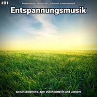 Tiefsinnige Erinnerungen - Entspannungsmusik Sebastian Noiro & Schlafmusik & Entspannungsmusik