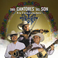 El Caimán - Trío Cantores del Son