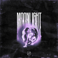 Moonlight (Slowed) - or:bit