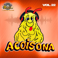 Ap de Bangú (Resgatou o Bagulhão) - Acoisona & DJ Tripa