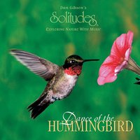 Wings at Rest - Dan Gibson's Solitudes
