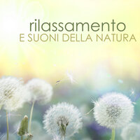 Anima Pacifica - Relax Rilassamento Wellness Club