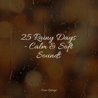 Flowing Rains - Sampling XL & Musique Zen Garden & Lullaby Rain