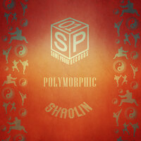 Boom - Polymorphic