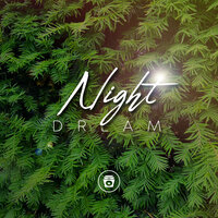 Rain Trough The Bushes - Relaxing Sounds