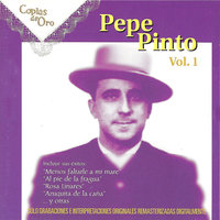 Padecía Mal de Amores - Pepe Pinto