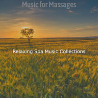 Grand Guitar and Flute - Vibe for Steam Baths - Relaxing Spa Music Collections