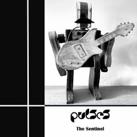 The Sentinel - Pulses