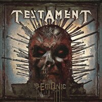 Distorted Lives - Testament