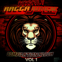 Sundance Kid - Dj Stp