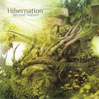 Plastics - Hibernation