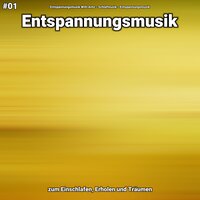 Entspannungsmusik Teil 37 - Entspannungsmusik Willi Antz & Schlafmusik & Entspannungsmusik
