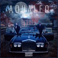 Feel It (Nothin' Like Me) - Aqualeo