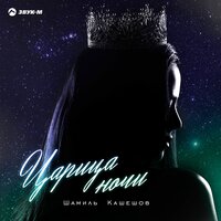 Царица ночи - Шамиль Кашешов